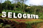 6 Day to Yogyakarta