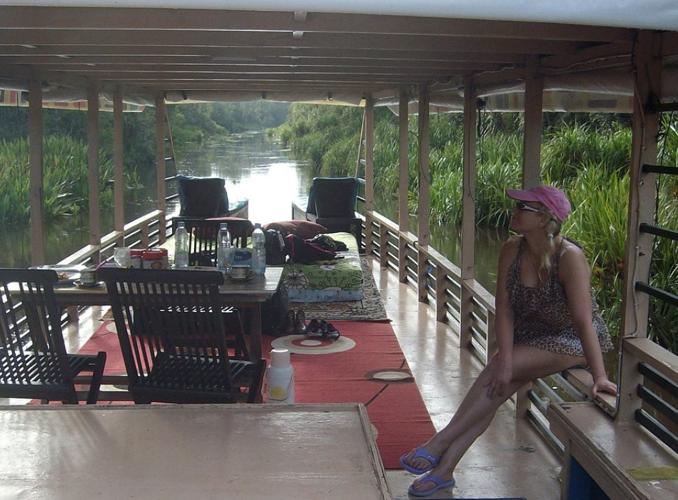 Borneo Shared Trip: 3D2N Orangutan Tanjung Puting National Park