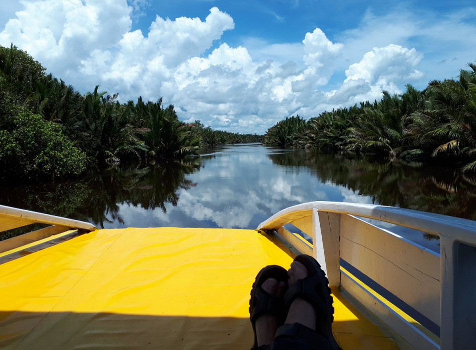 Borneo Shared Trip: 3D2N Orangutan Tanjung Puting National Park