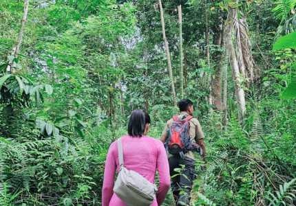 Orangutan Bukit Lawang Trekking Tour Medan